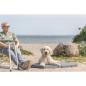 Preview: pho_image_dog_goldendoodle-ole-liegt-matratze-2_sall_awk_v11.jpg