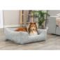Preview: pho_pro_dog_37263-37264-37265-3_sall_awk_v11.jpg
