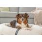 Preview: pho_pro_dog_373010-373011-373012-2_sall_awk_v11.jpg