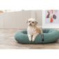 Preview: pho_pro_dog_373013-373014-373015-1_sall_awk_v11.jpg