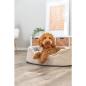 Preview: pho_pro_dog_374065-374066-374067-2_sall_awk_v11.jpg