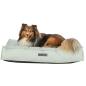 Preview: pho_pro_dog_376895-376896-1_sall_awk_v11.jpg