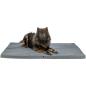 Preview: pho_pro_dog_clip_284405-284406-284407-1_sall_awk_v11.jpg