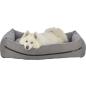 Preview: pho_pro_dog_clip_373000-373001-373002-373003-1_sall_awk_v11.jpg