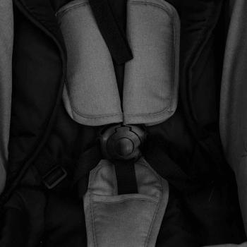 10329_12.jpg