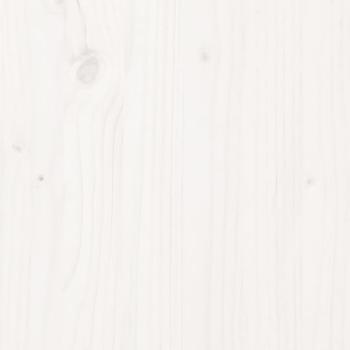 3104309_5.jpg