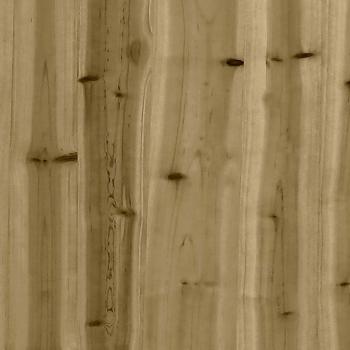 3156930_11.jpg