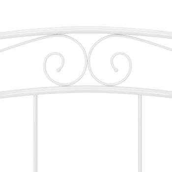 324998_7.jpg