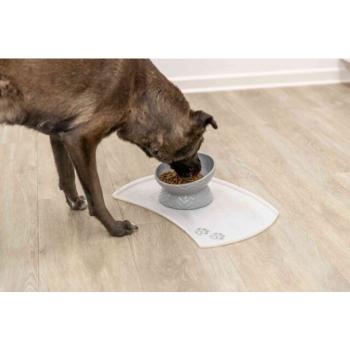 pho_pro_dog_24809-3_sall_awk_v11.jpg