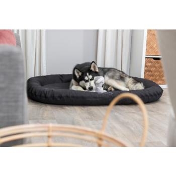 Preview: pho_pro_dog_28240-35673-1_sall_awk_v11.jpg