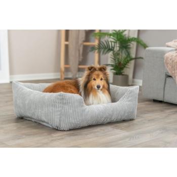 Preview: pho_pro_dog_37263-37264-37265-3_sall_awk_v11.jpg