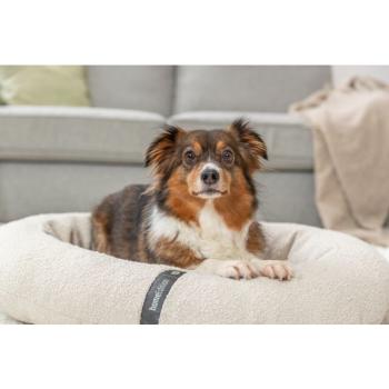 Preview: pho_pro_dog_373010-373011-373012-2_sall_awk_v11.jpg