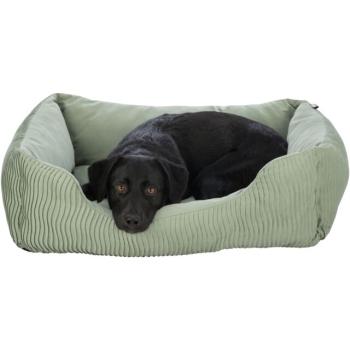 Preview: pho_pro_dog_clip_36791-2_sall_awk_v11.jpg