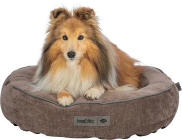 Preview: pho_pro_dog_clip_371325-371326-371327-1_sall_awk_v11.jpg