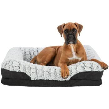 Preview: pho_pro_dog_clip_37254-37255-37256-1_sall_awk_v11.jpg