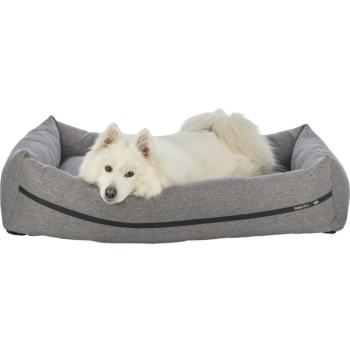 Preview: pho_pro_dog_clip_373000-373001-373002-373003-1_sall_awk_v11.jpg