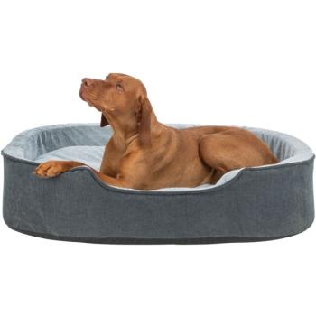pho_pro_dog_clip_374060-374061-374062-1_sall_awk_v11.jpg