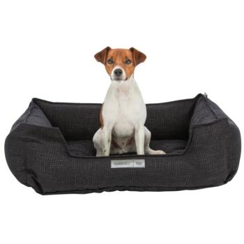 Preview: pho_pro_dog_clip_37567-1_sall_awk_v11.jpg