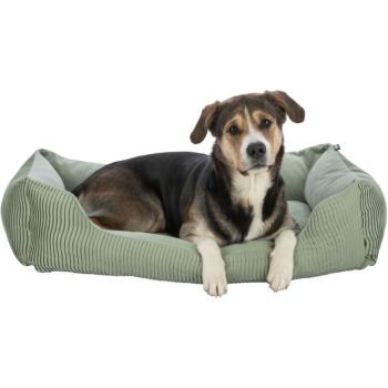 pho_pro_dog_clip_37692-1_sall_awk_v11.jpg
