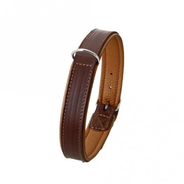 02100-imp-var.jpg