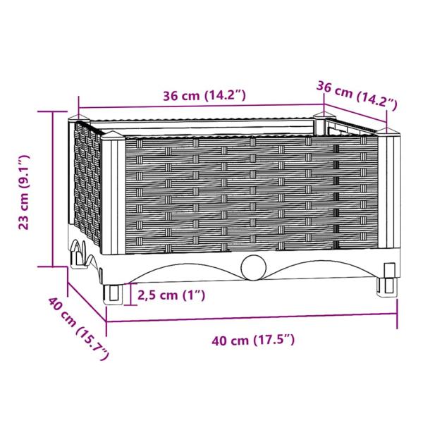 153289_7.jpg