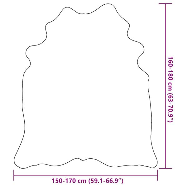 284341_9.jpg