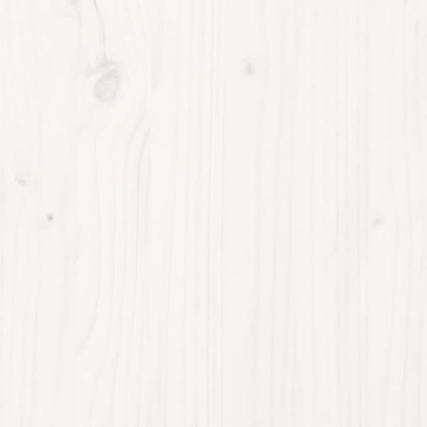 3104309_5.jpg