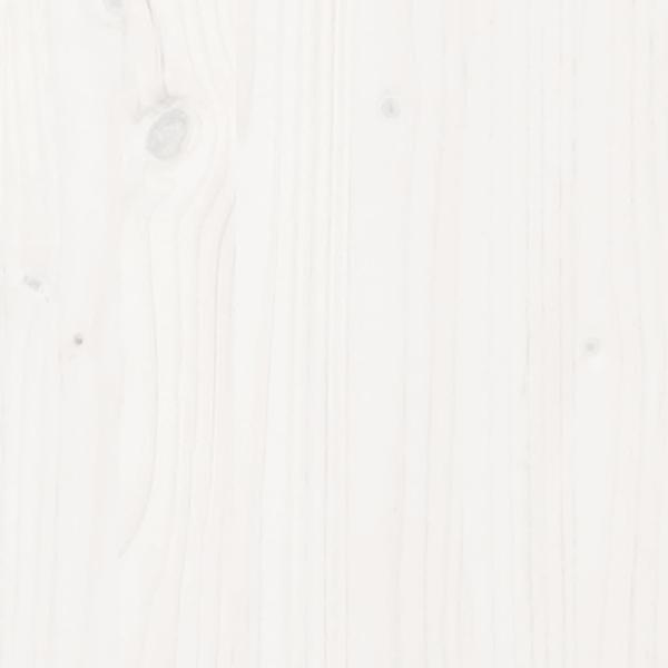 3105431_5.jpg