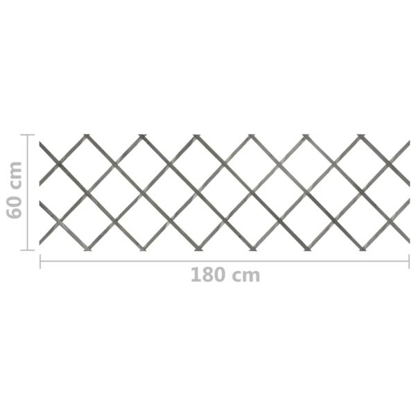 316424_7.jpg