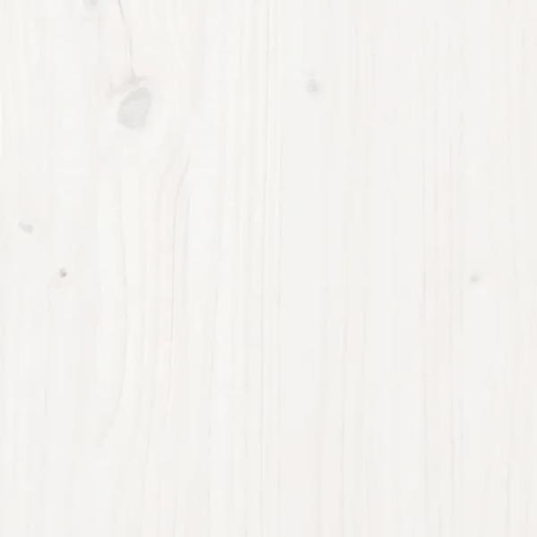3216361_8.jpg