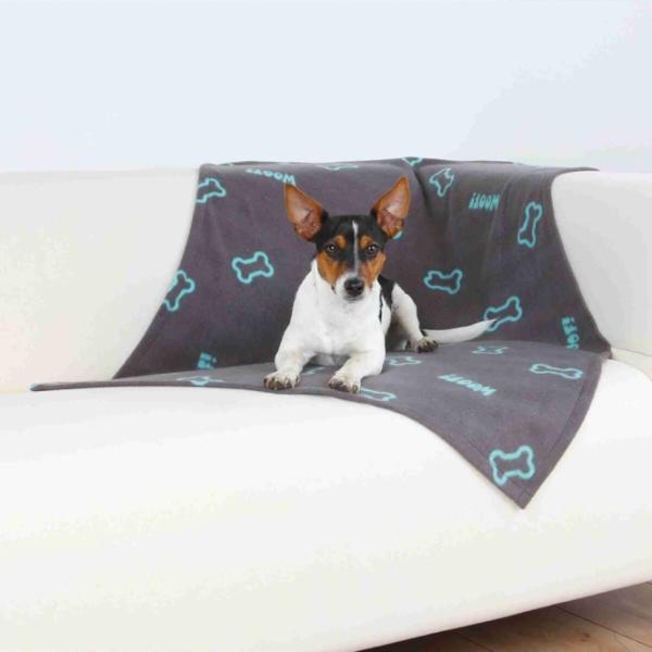 37195-1.jpg