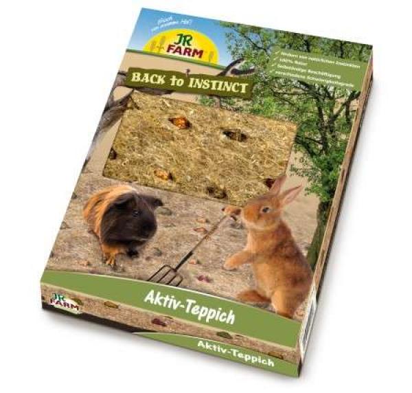 jr_aktiv_teppich.jpg