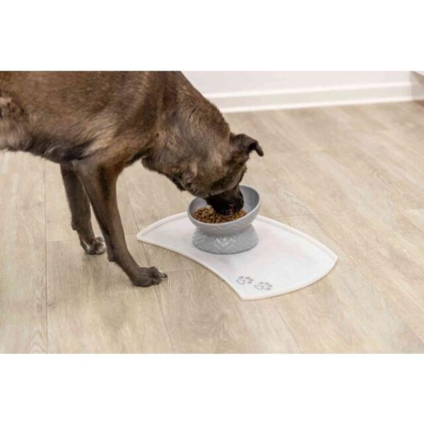 pho_pro_dog_24809-3_sall_awk_v11.jpg