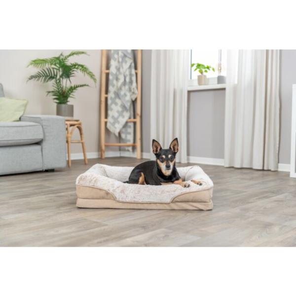 pho_pro_dog_374055-374056-374057-2_sall_awk_v11.jpg