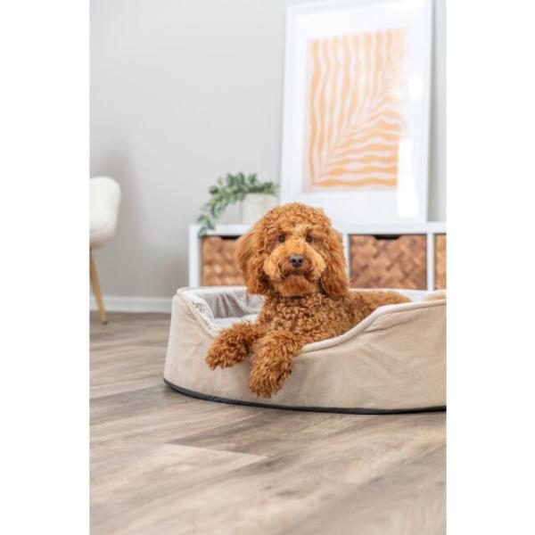 pho_pro_dog_374065-374066-374067-2_sall_awk_v11.jpg