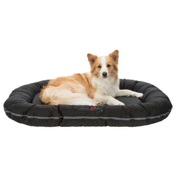 pho_pro_dog_clip_28332-1_sall_awk_v11.jpg