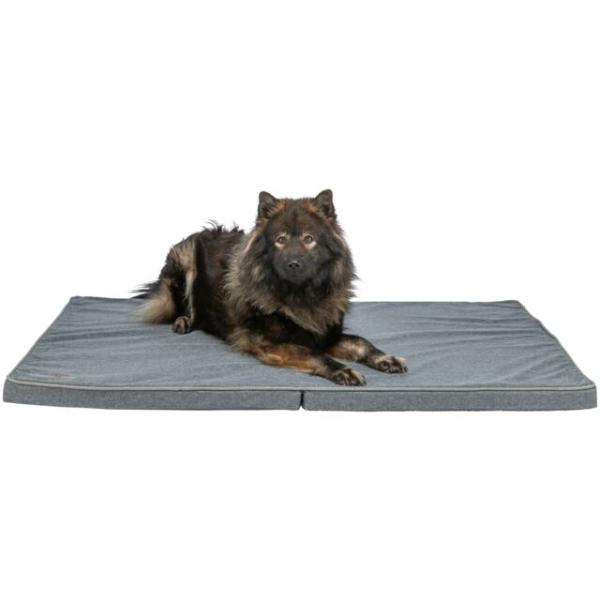 pho_pro_dog_clip_284405-284406-284407-1_sall_awk_v11.jpg