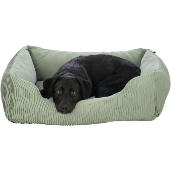 pho_pro_dog_clip_36791-2_sall_awk_v11.jpg