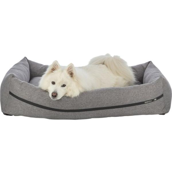 pho_pro_dog_clip_373000-373001-373002-373003-1_sall_awk_v11.jpg