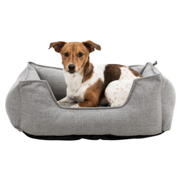 pho_pro_dog_clip_37581-1_sall_awk_v11.jpg